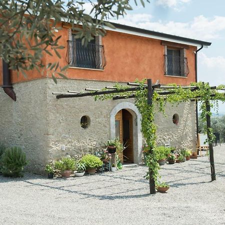 B&B Rifugio Tra Gli Ulivi カンパーニャ エクステリア 写真