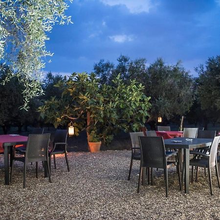 B&B Rifugio Tra Gli Ulivi カンパーニャ エクステリア 写真