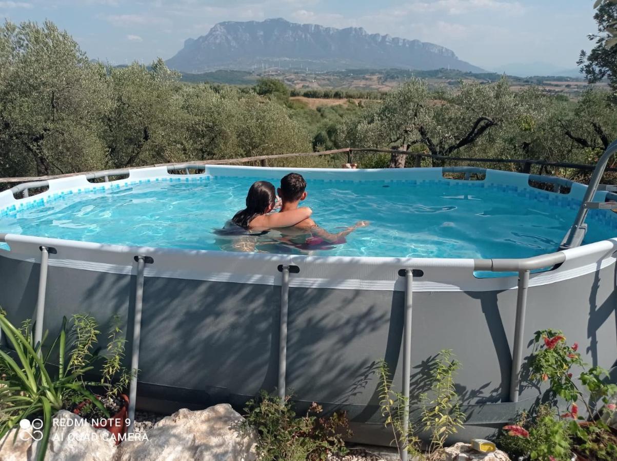 B&B Rifugio Tra Gli Ulivi カンパーニャ エクステリア 写真