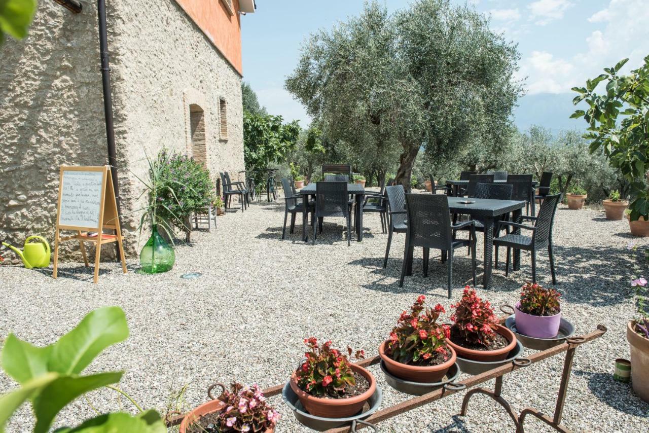 B&B Rifugio Tra Gli Ulivi カンパーニャ エクステリア 写真