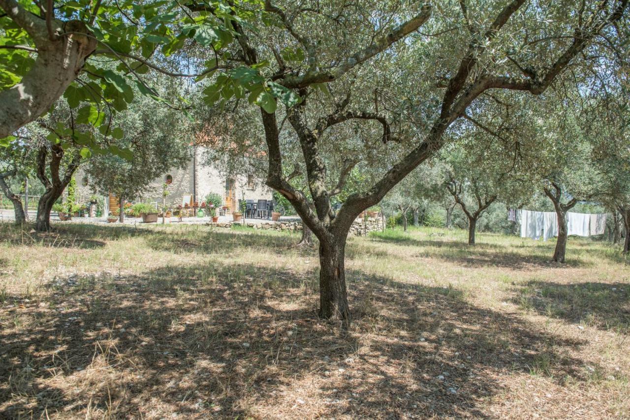 B&B Rifugio Tra Gli Ulivi カンパーニャ エクステリア 写真