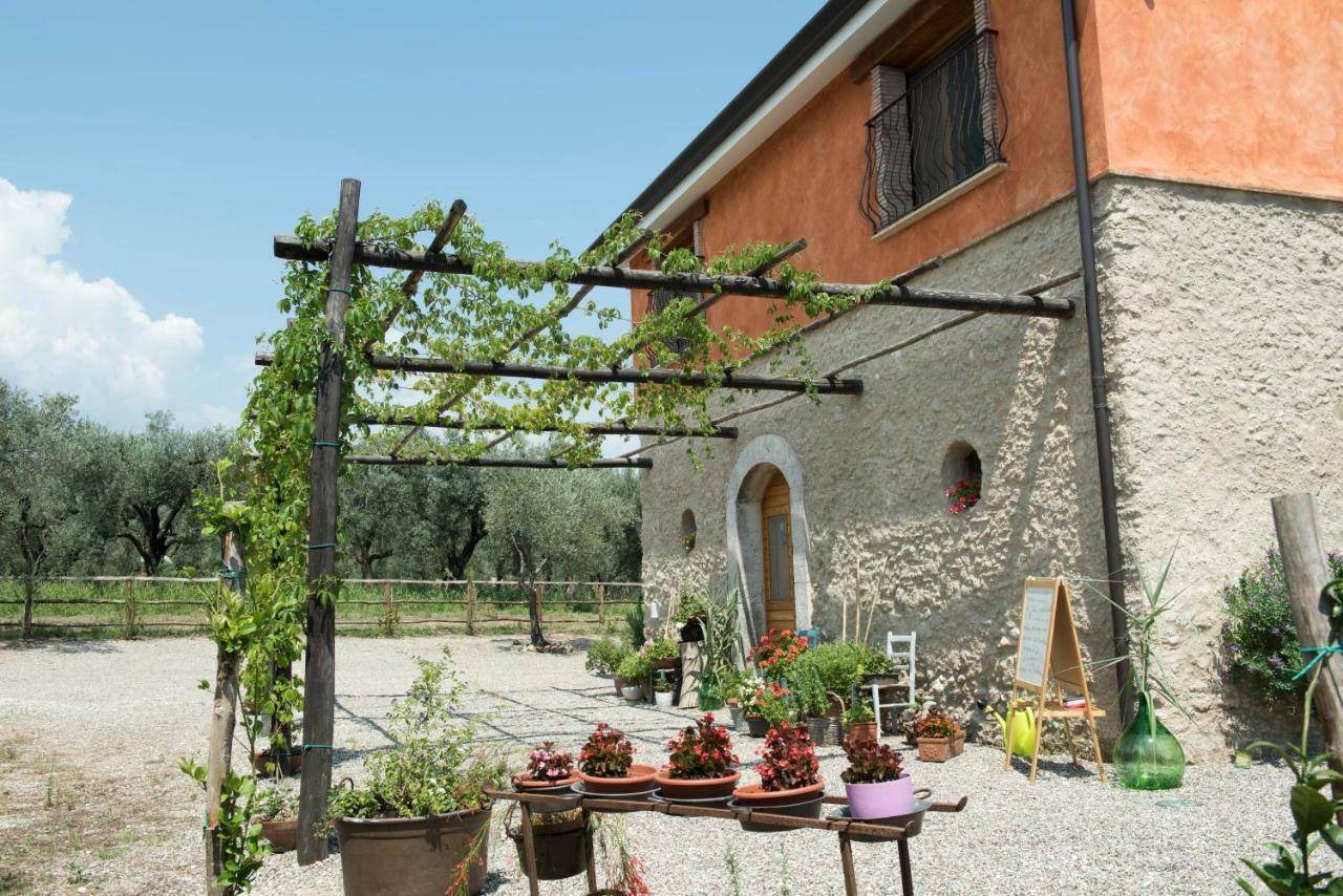 B&B Rifugio Tra Gli Ulivi カンパーニャ エクステリア 写真