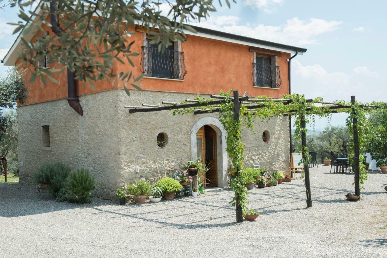 B&B Rifugio Tra Gli Ulivi カンパーニャ エクステリア 写真