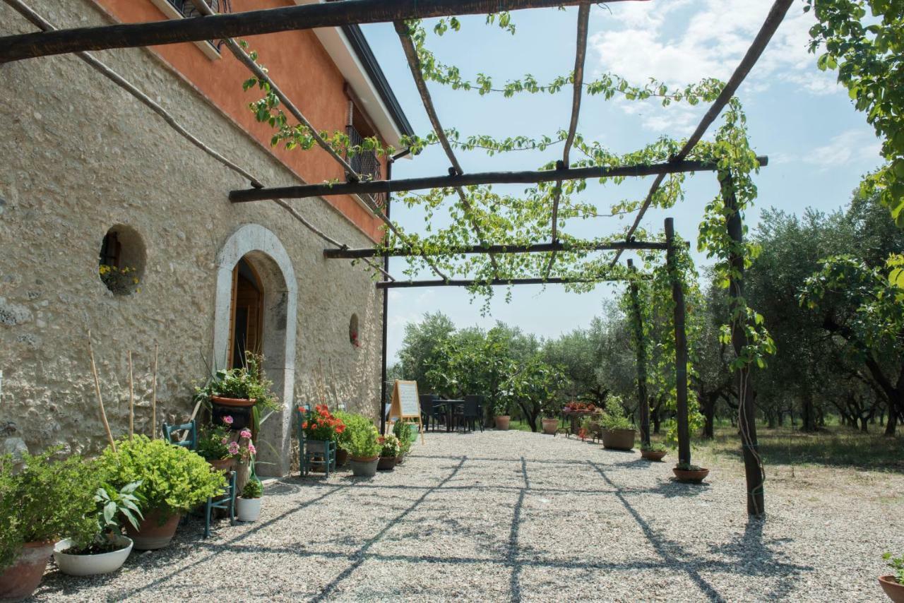 B&B Rifugio Tra Gli Ulivi カンパーニャ エクステリア 写真