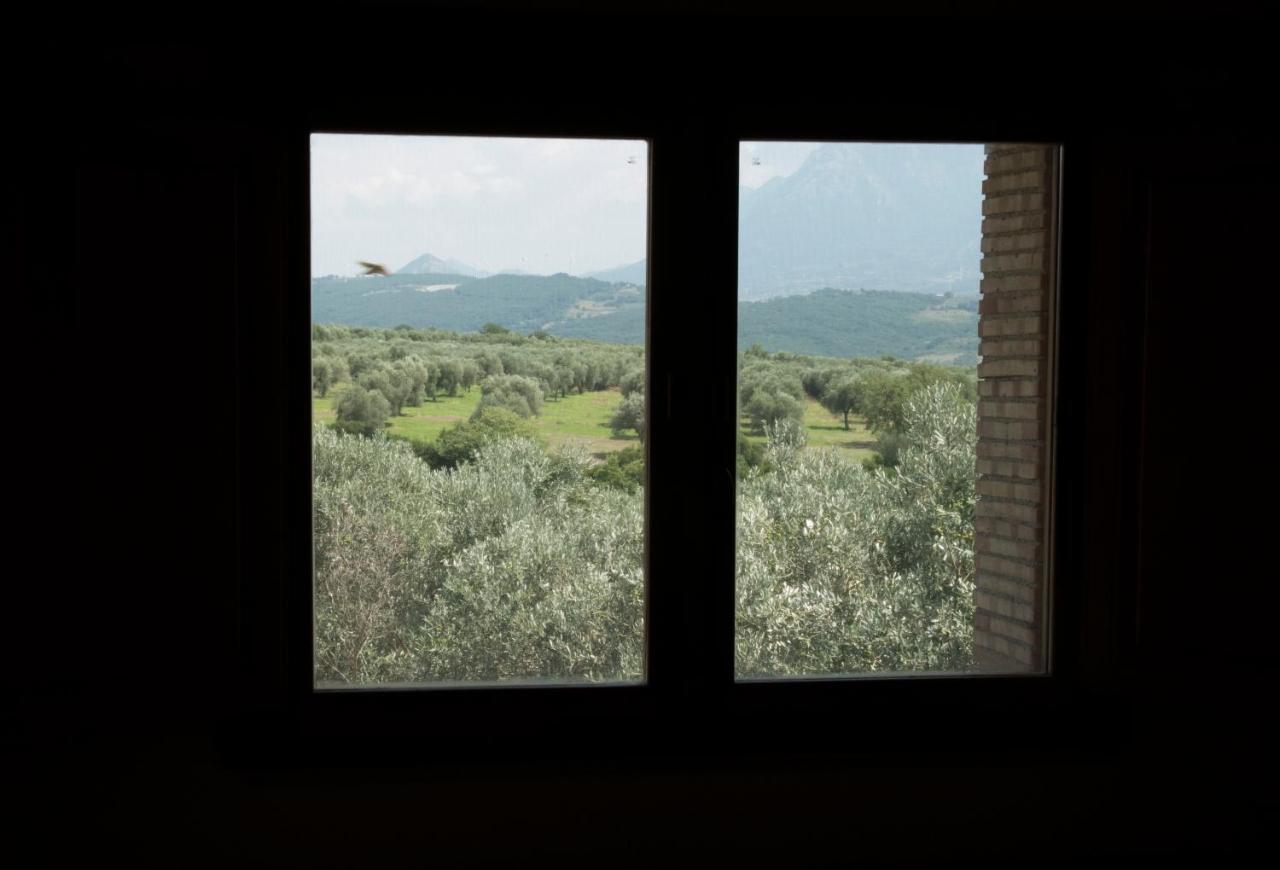 B&B Rifugio Tra Gli Ulivi カンパーニャ エクステリア 写真